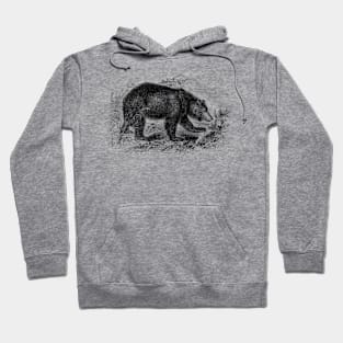 Bear Vintage Illustration Hoodie